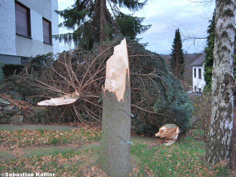 Langenholzhausen 5