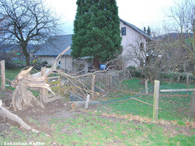 Langenholzhausen 6