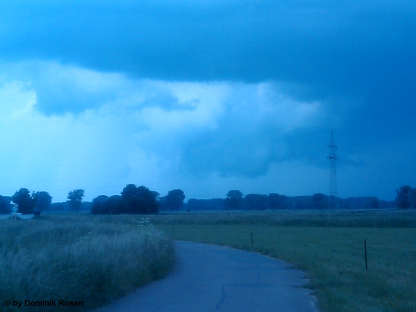 Hille 11