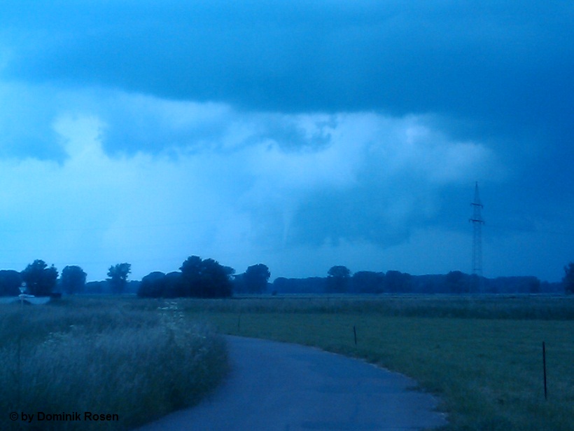 Hille 12