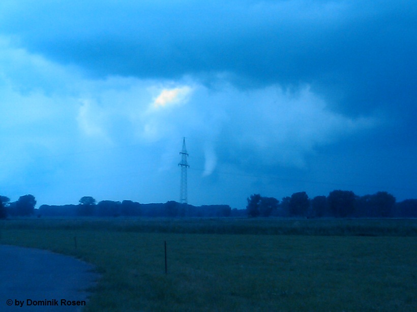 Hille 17