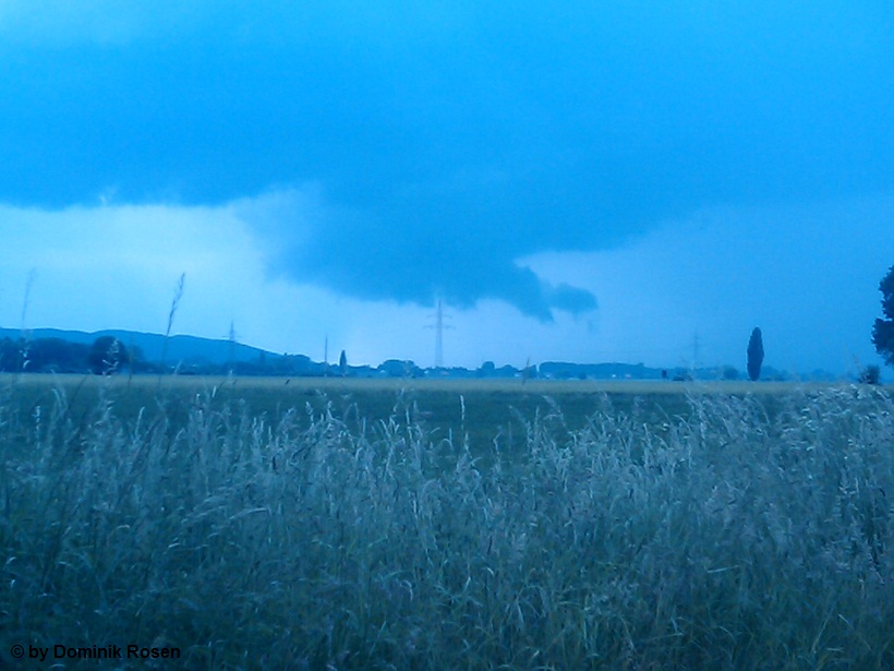 Hille 2