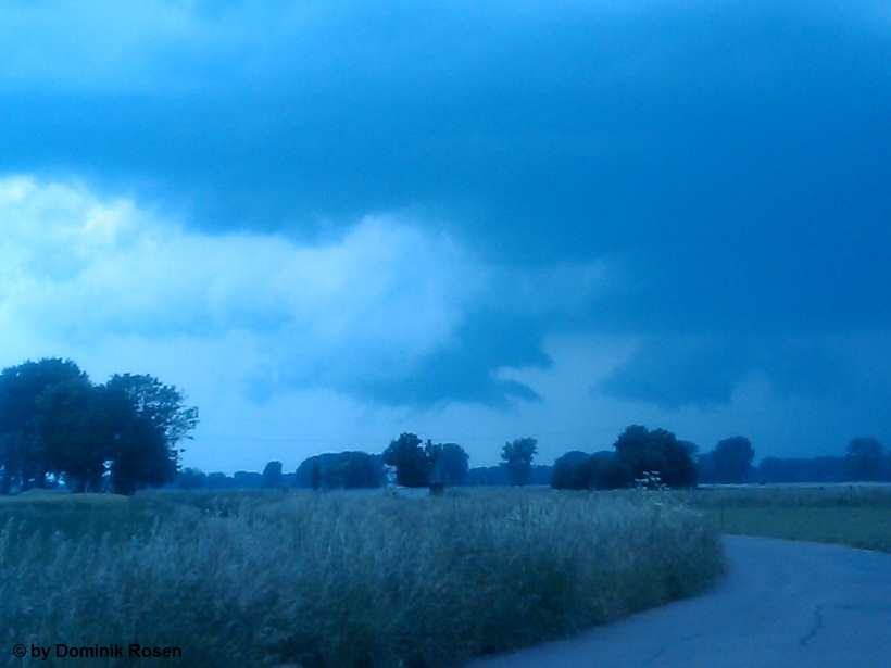 Hille 8