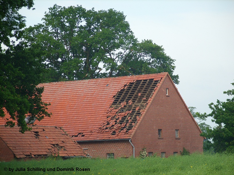 Hille Schaden 1