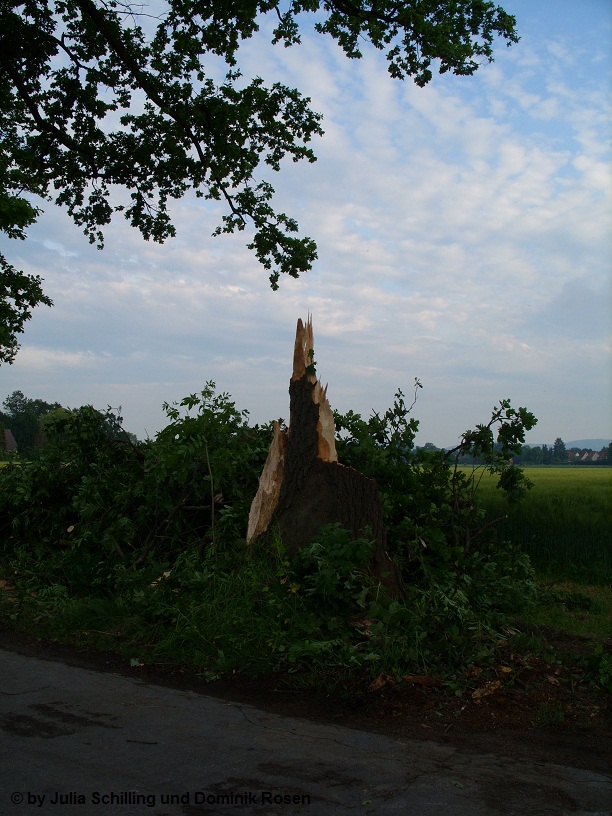 Hille Schaden 2