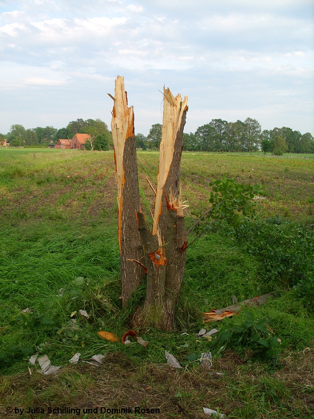 Hille Schaden 5