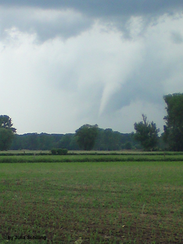 Hille 2
