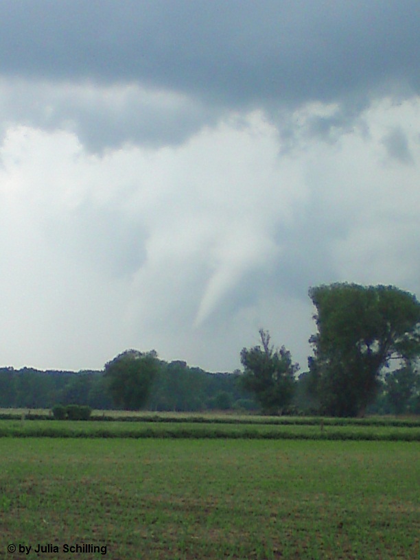 Hille 3