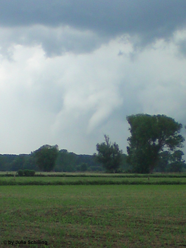 Hille 4