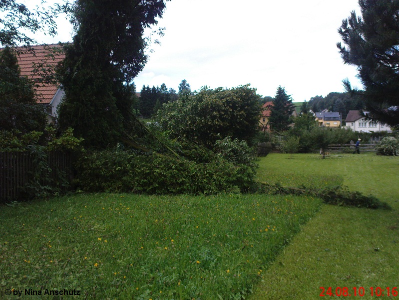 Herges 1