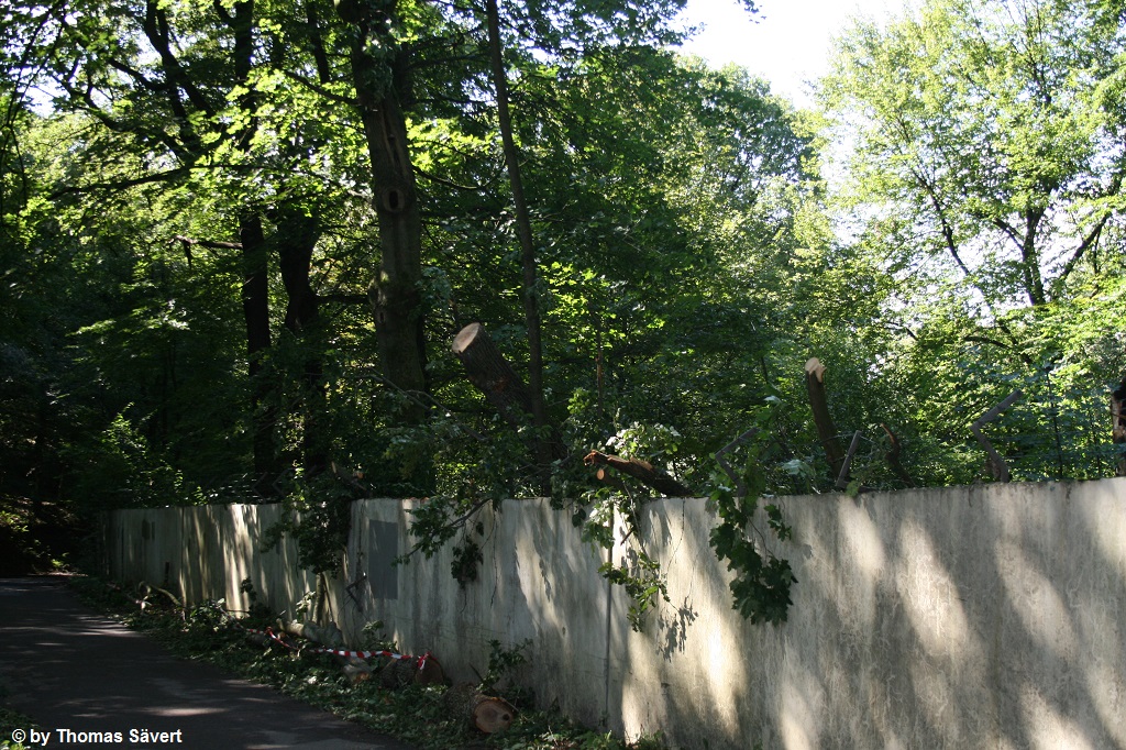 Wuppertal 13