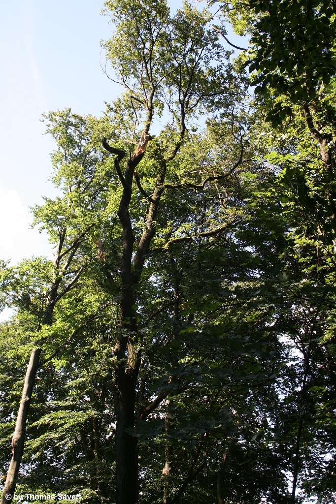 Wuppertal 14