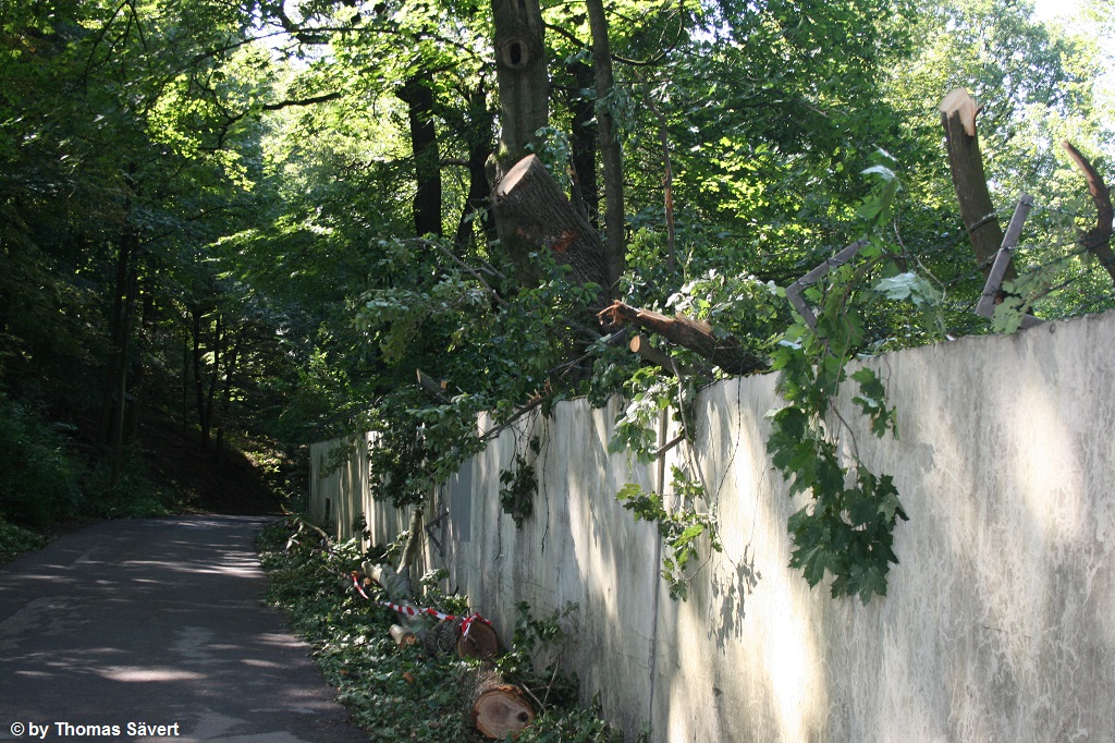 Wuppertal 16