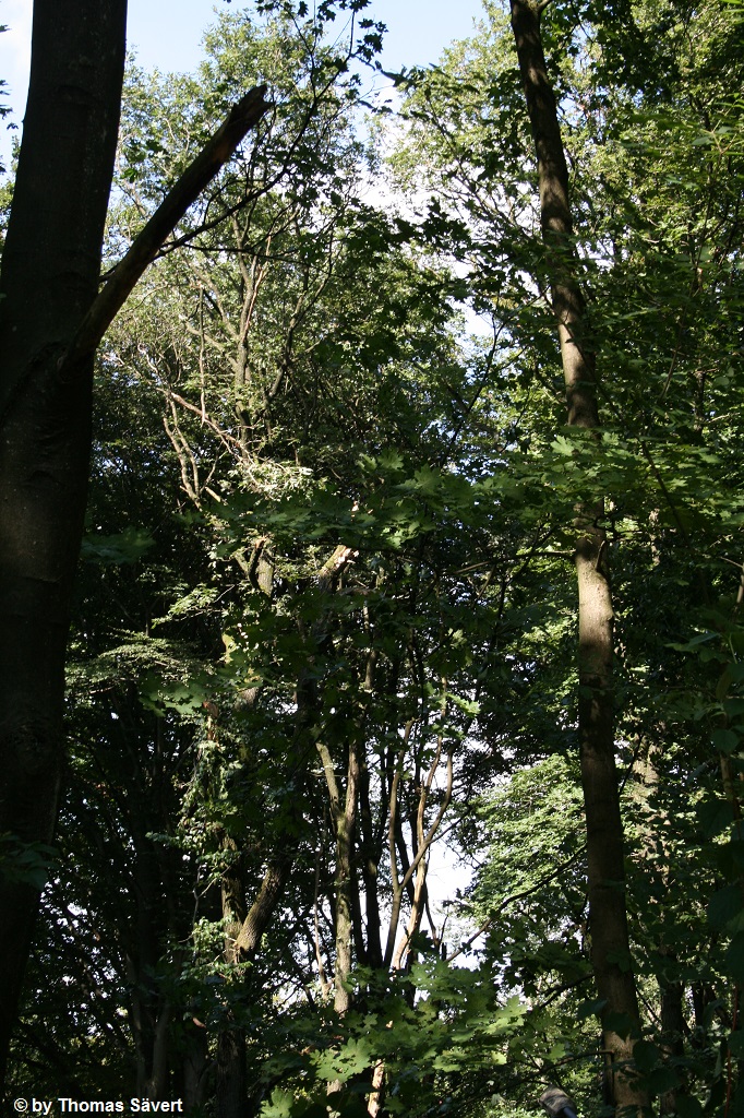 Wuppertal 19