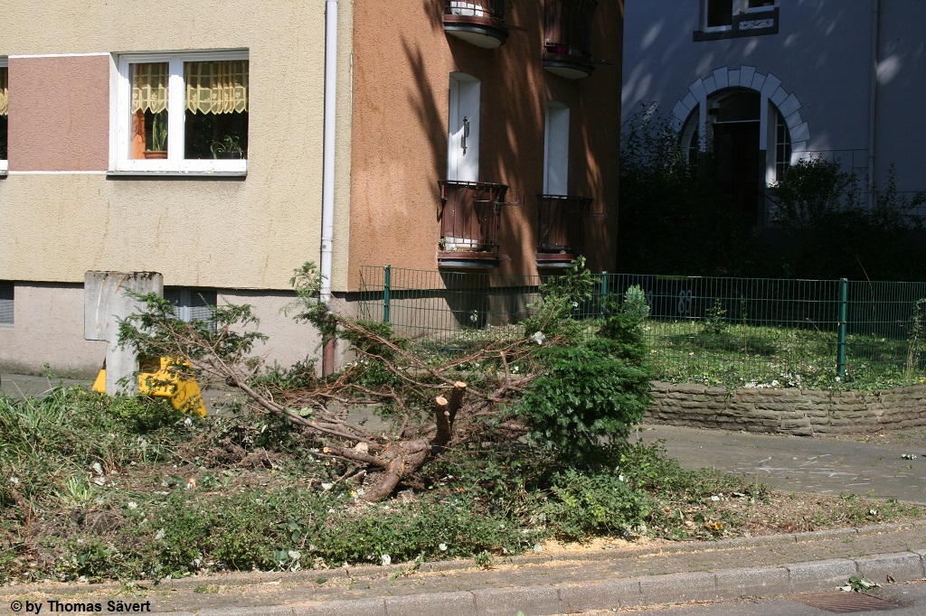 Wuppertal 3