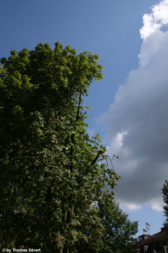 Wuppertal 5