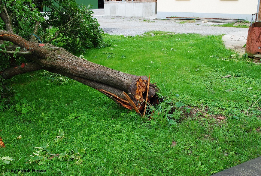 Boppard 4