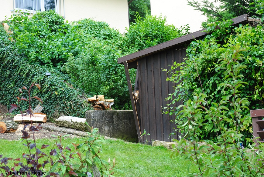 Boppard 9