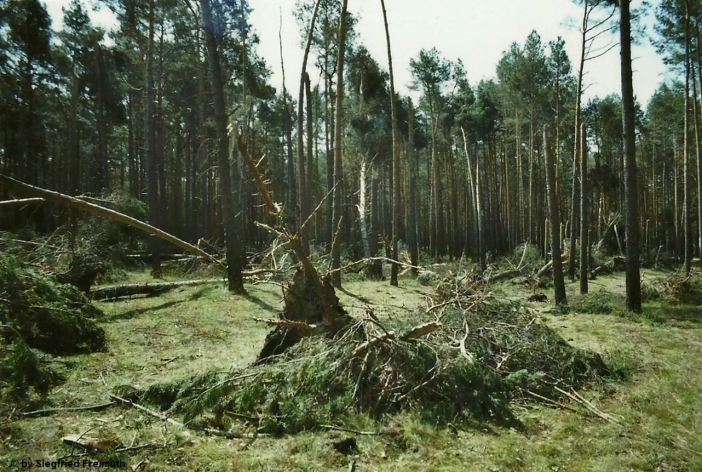 Tornadoverdacht bei Grabko am 30.05.2013