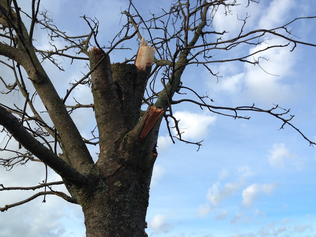 Tornadoverdacht bei Heygendorf am 14.01.2015