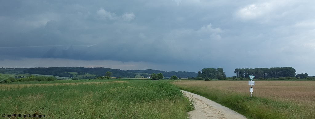 Hankofen 1
