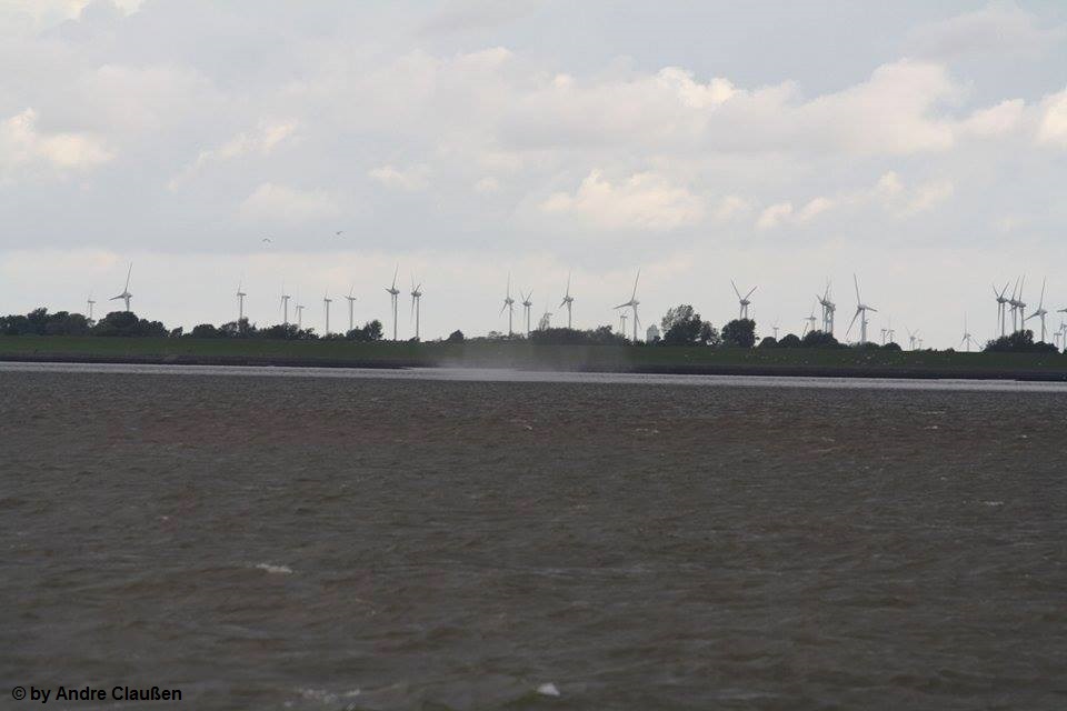 Meldorfer Bucht 2