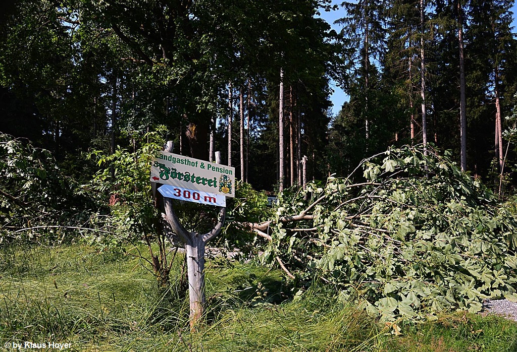 Jägersgrün 11