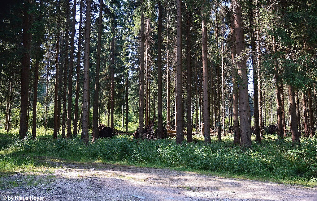 Jägersgrün 14