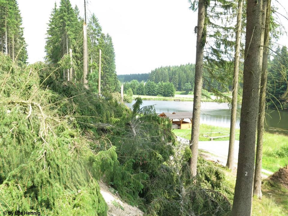 Jägersgrün 22