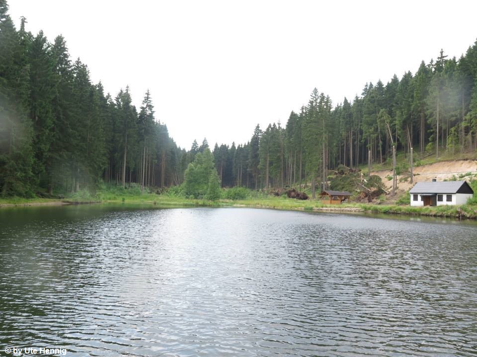 Jägersgrün 24