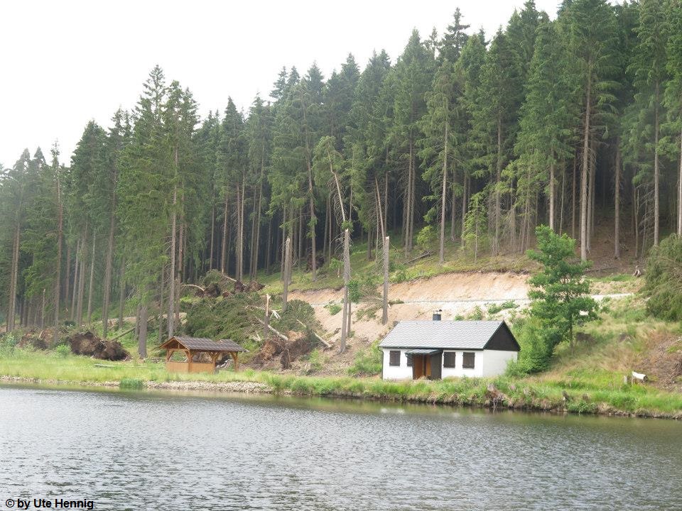 Jägersgrün 25