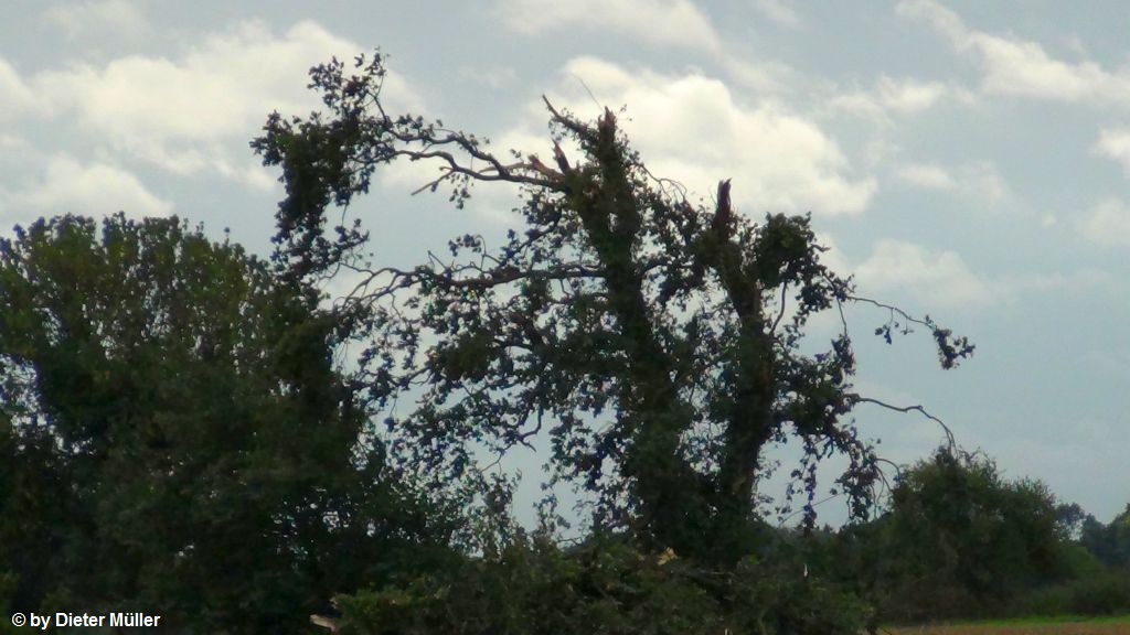 Johannisdorf 12