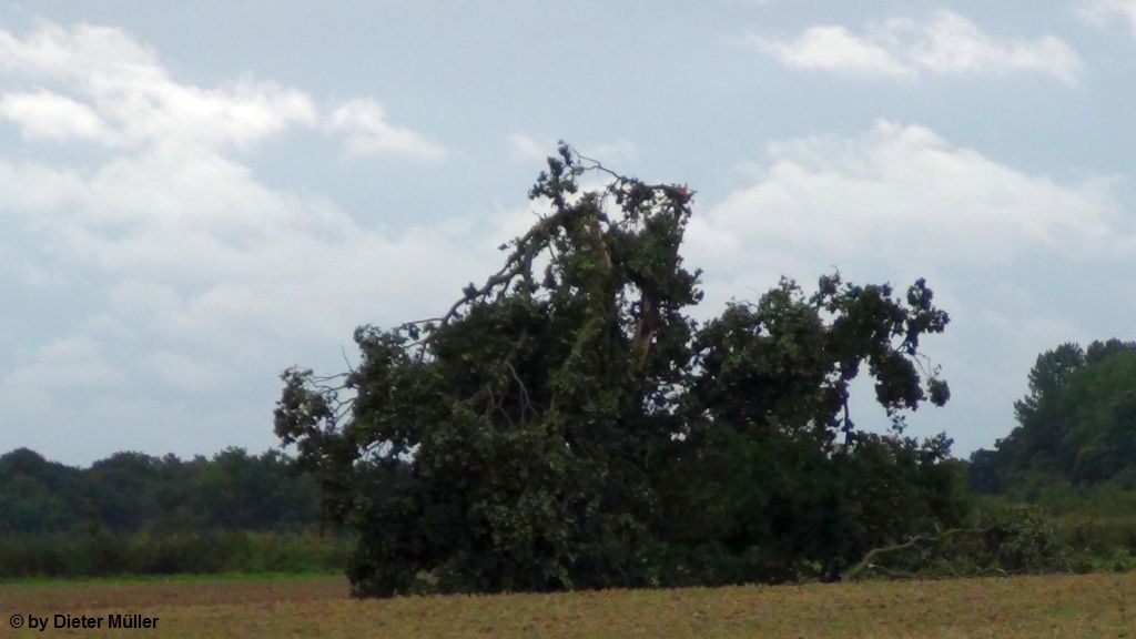 Johannisdorf 14