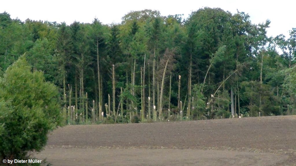 Johannisdorf 16