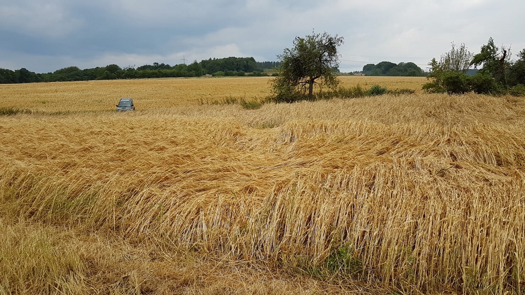 Naunheim Schden 17
