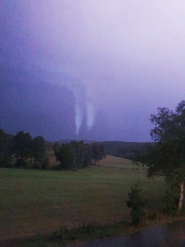 Seidfeld kontrastverstrkt 1