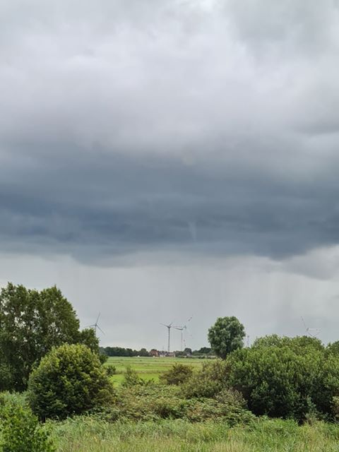 Emden 4