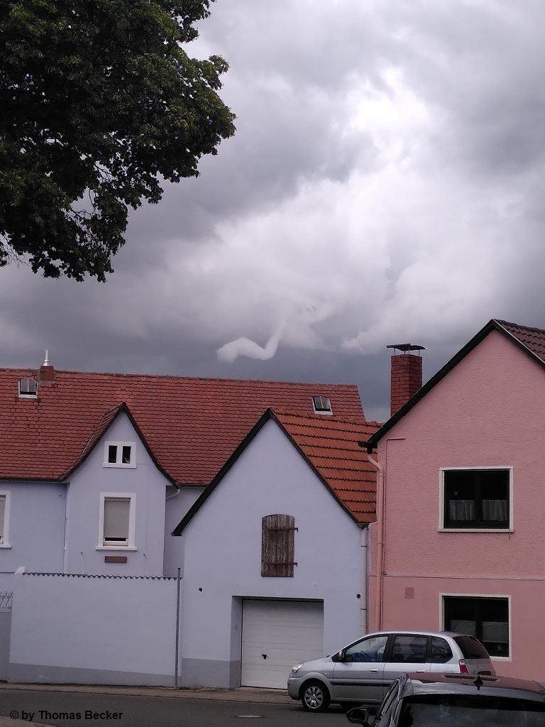 Dittelsheim-Heloch 1