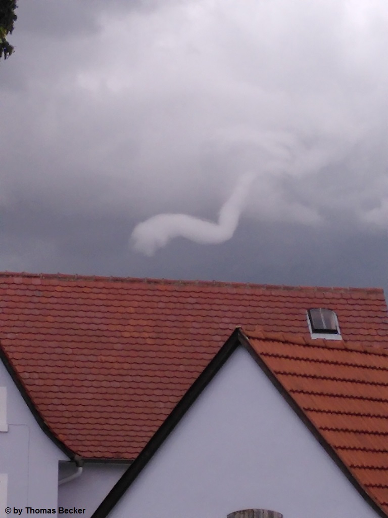 Dittelsheim-Heloch 3