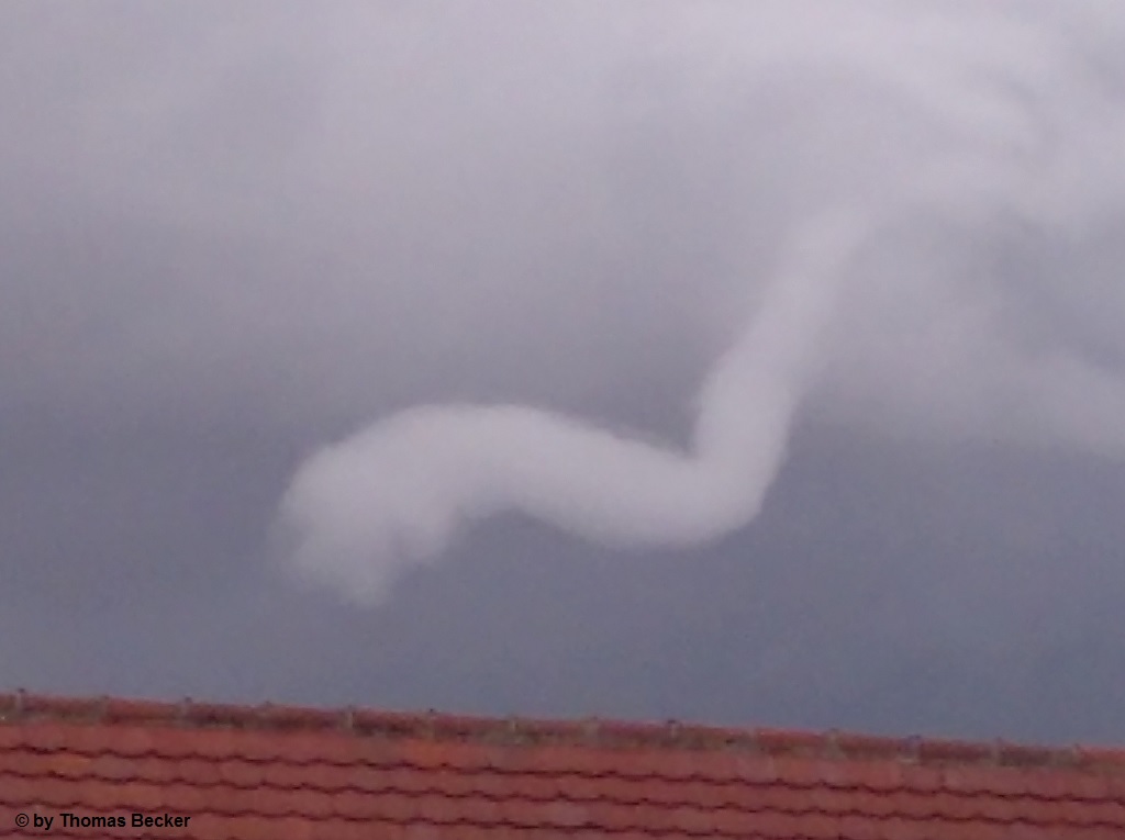 Dittelsheim-Heloch 4