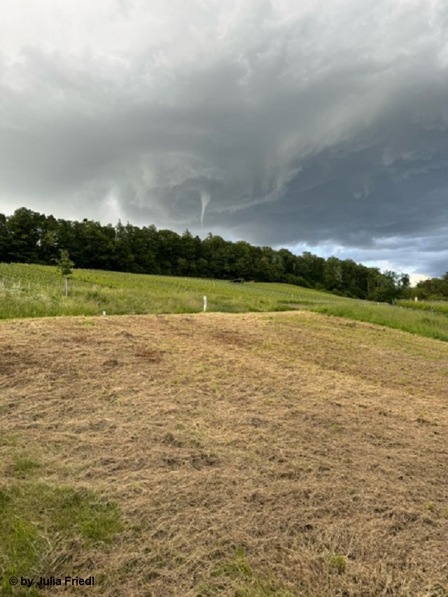 Berglen 4