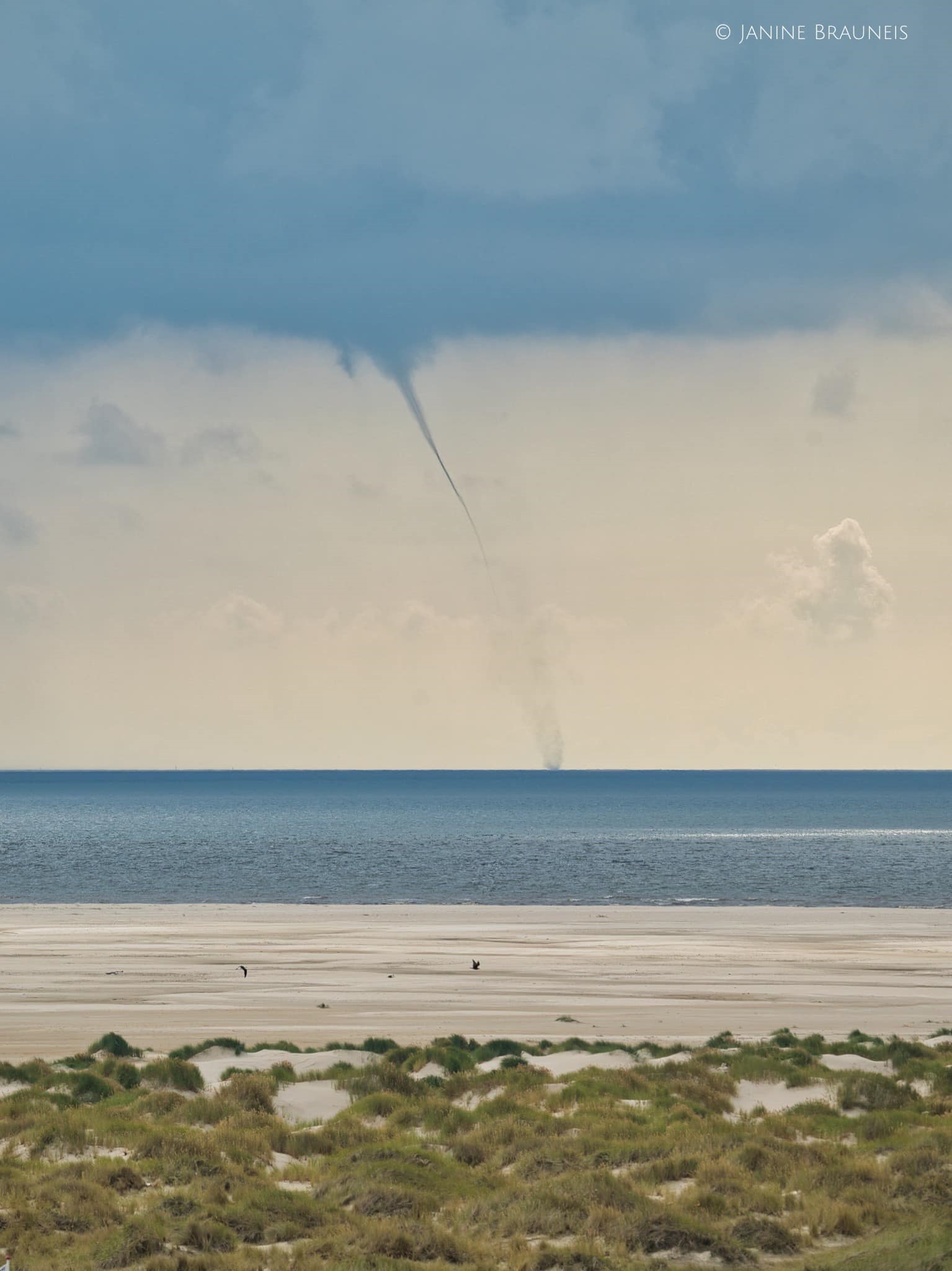 Amrum 1