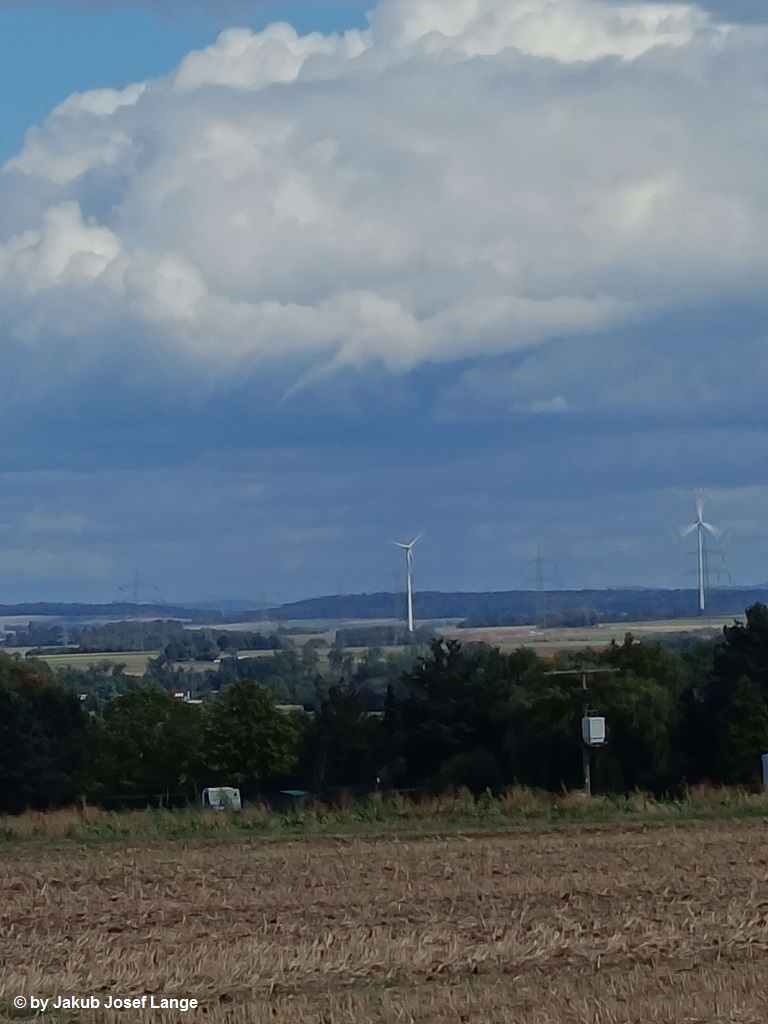 Bommersheim 4